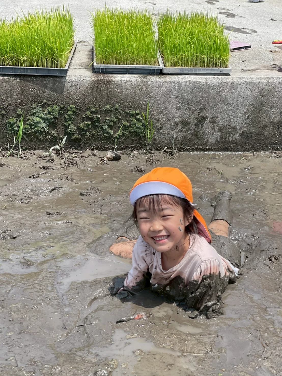 園で過ごす子どもたち